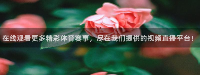 在线观看更多精彩体育赛事，尽在我们提供的视频直播平台！