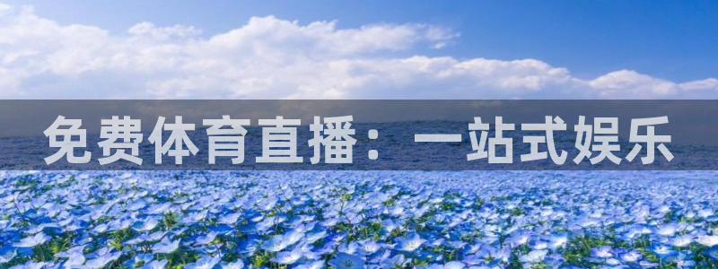 免费体育直播：一站式娱乐